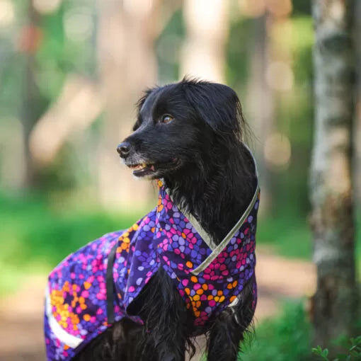 Pomppa SadePomppa Regenjas Cosmo/Kartta (pre-order)