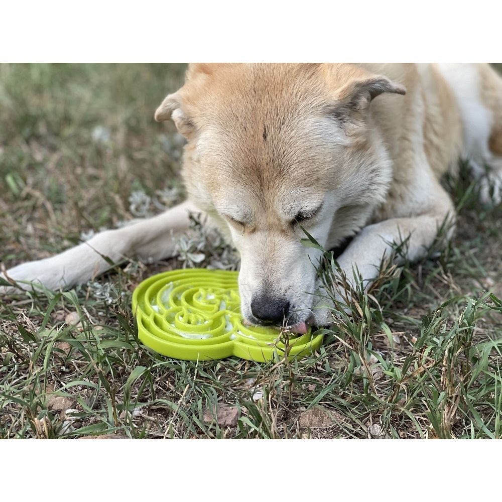 Sodapup Water Frog Design Etray