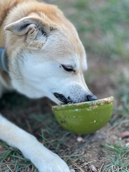 Sodapup Garden of Eatin’ Tipsy Bowl