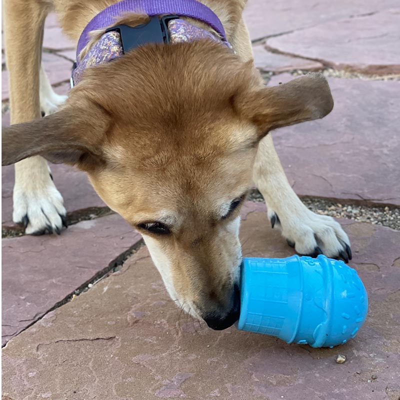 Sodapup Icecream Cone Durable PUP-X Rubber Chew Toy and Treat Dispenser – Blue